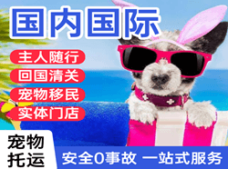 蓬莱航空邮寄国际宠物托运 【国